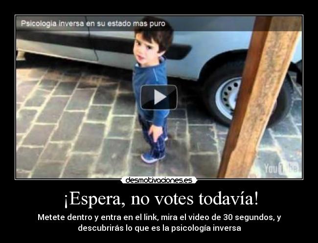 ¡Espera, no votes todavía! - 