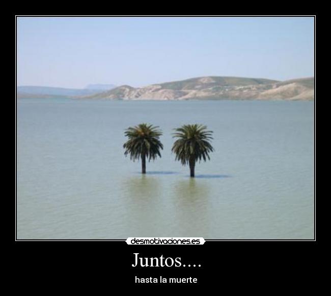Juntos.... -
