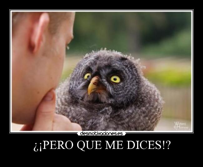 ¿¡PERO QUE ME DICES!? -