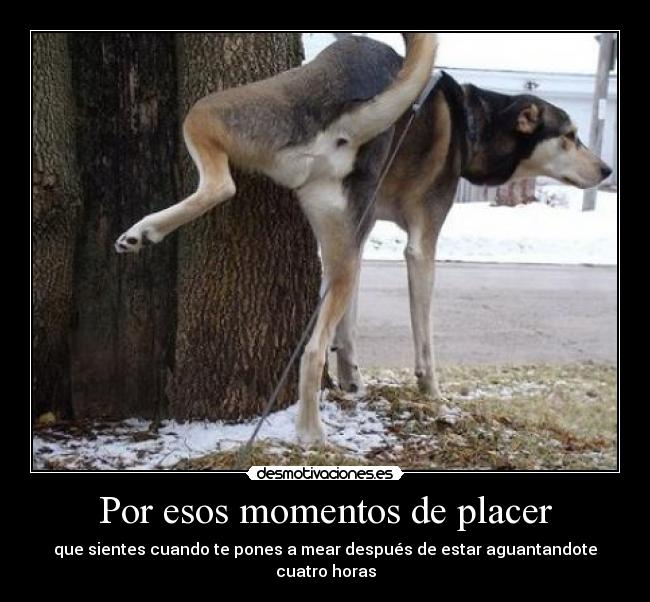 Por esos momentos de placer - 
