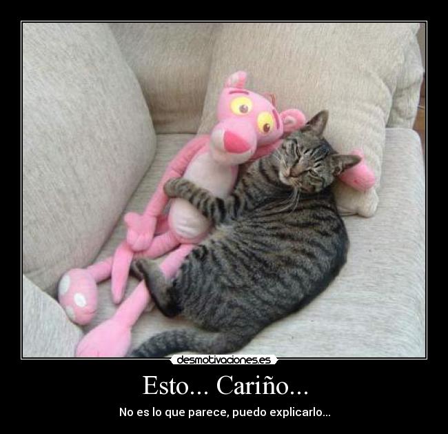 Esto... Cariño... - No es lo que parece, puedo explicarlo...