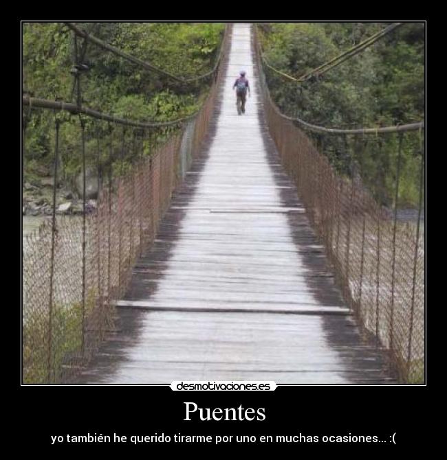 carteles puentes desmotivaciones