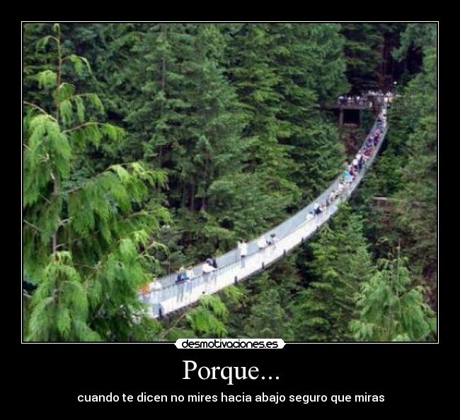 carteles porque desmotivaciones