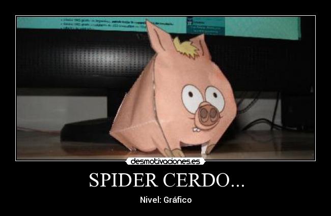 SPIDER CERDO... - 