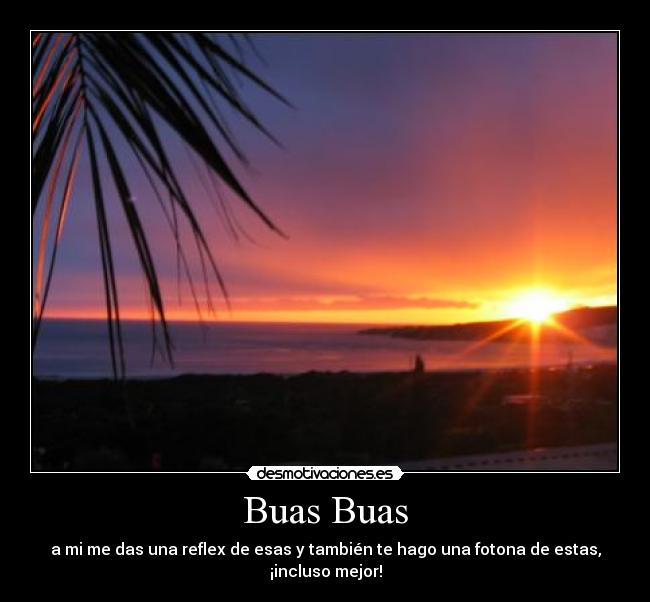 Buas Buas - a mi me das una reflex de esas y también te hago una fotona de estas, ¡incluso mejor!