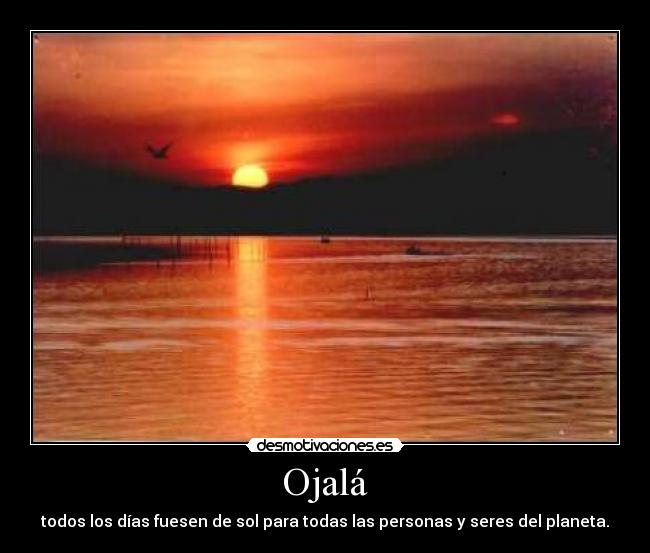 Ojalá - todos los días fuesen de sol para todas las personas y seres del planeta.