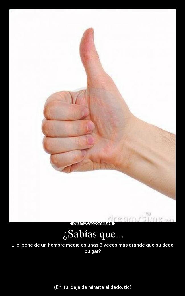 ¿Sabías que... - ... el pene de un hombre medio es unas 3 veces más grande que su dedo pulgar?





(Eh, tu, deja de mirarte el dedo, tío)