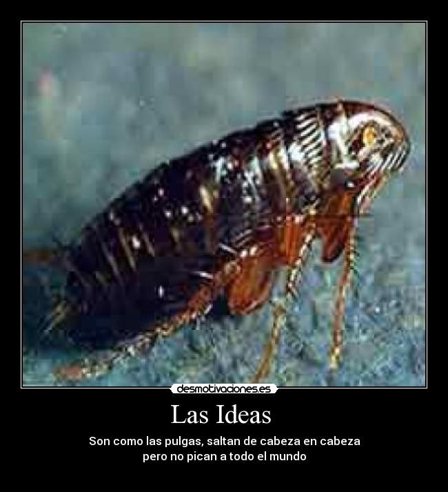 Las Ideas -