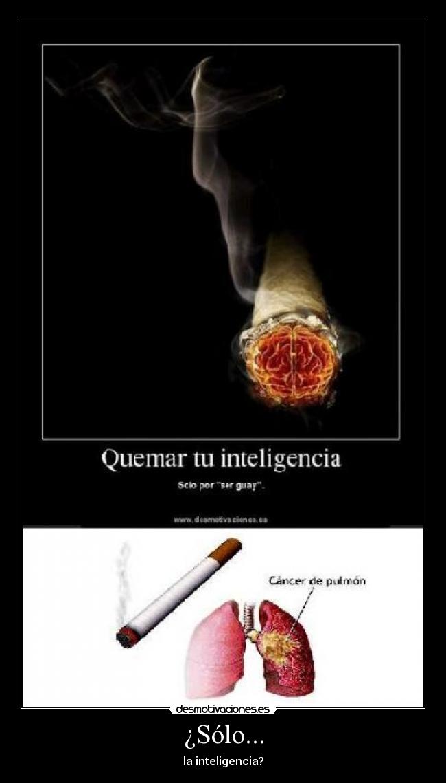 ¿Sólo... - la inteligencia?