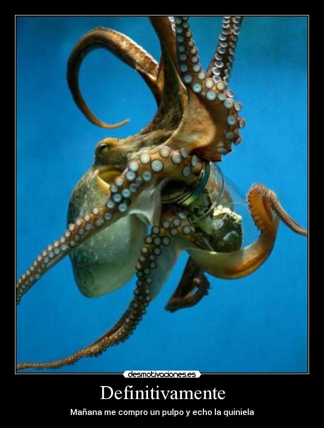 carteles pulpo desmotiva quiniela futbol iker paul manana compro desmotivaciones