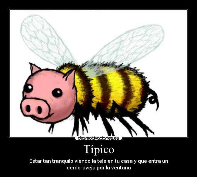 Típico -