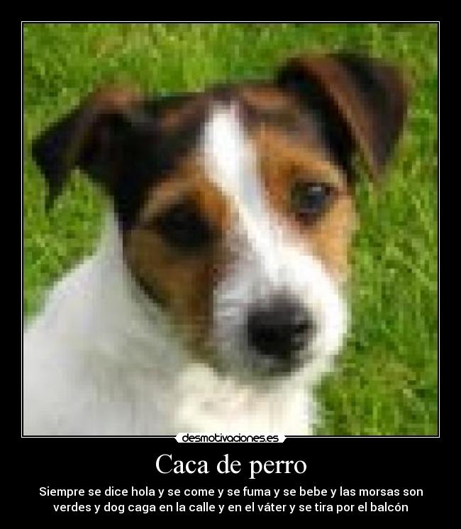 Caca de perro - Siempre se dice hola y se come y se fuma y se bebe y las morsas son
verdes y dog caga en la calle y en el váter y se tira por el balcón