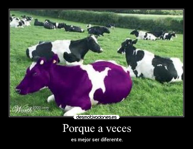 Porque a veces -
