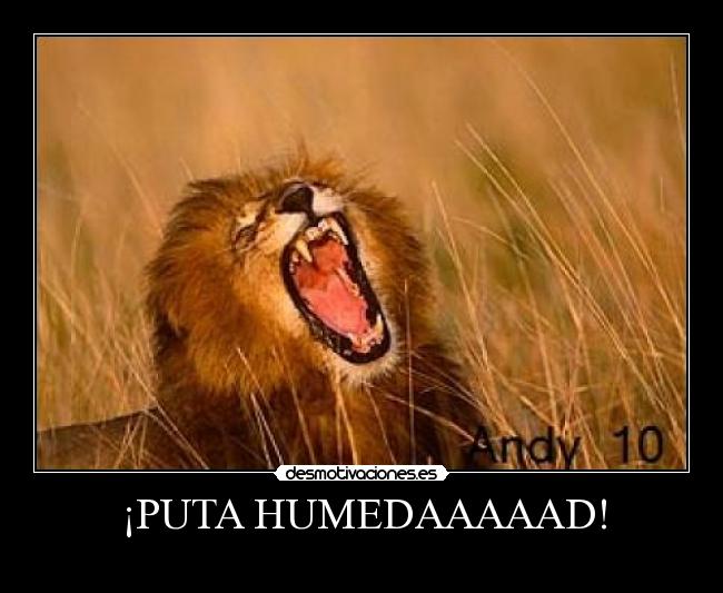 ¡PUTA HUMEDAAAAAD! - 