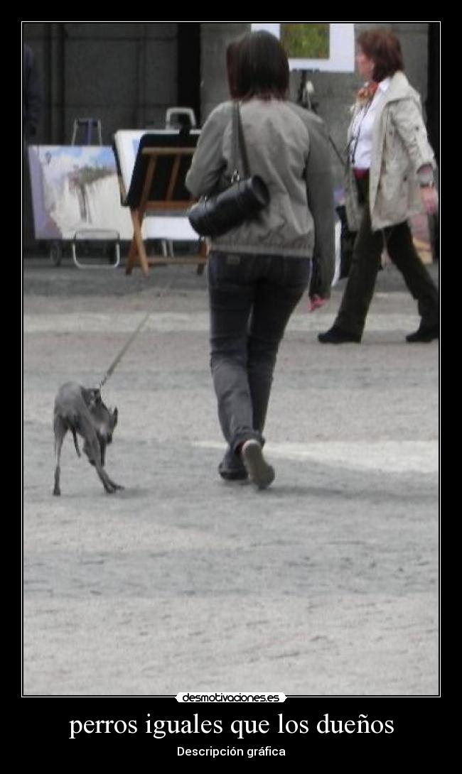 perros iguales que los dueños - Descripción gráfica