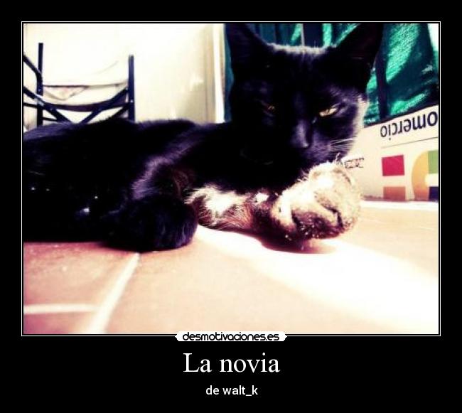 La novia - de walt_k