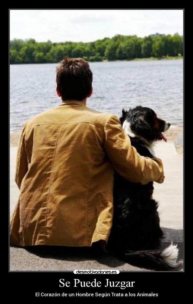 Se Puede Juzgar -