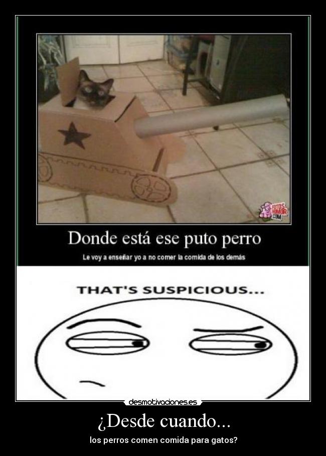 ¿Desde cuando... - los perros comen comida para gatos?