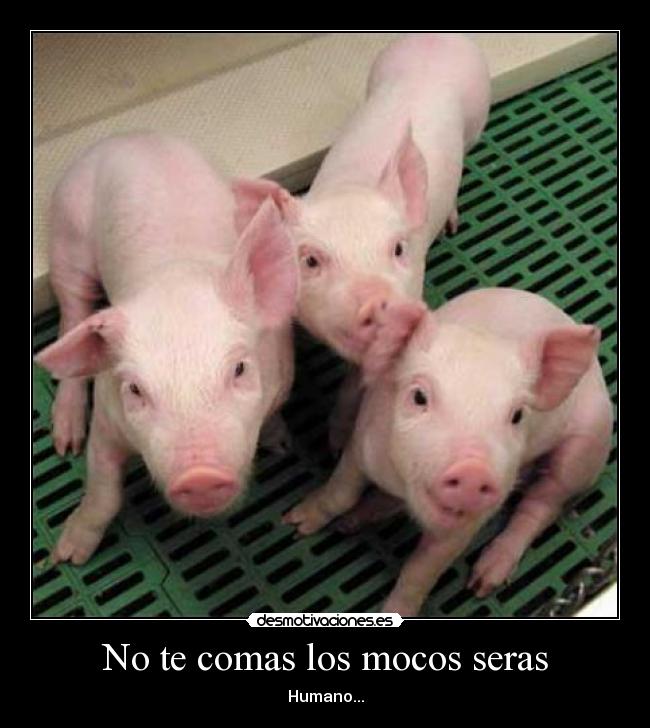 No te comas los mocos seras - Humano...