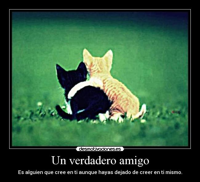 Un verdadero amigo - Es alguien que cree en ti aunque hayas dejado de creer en ti mismo.