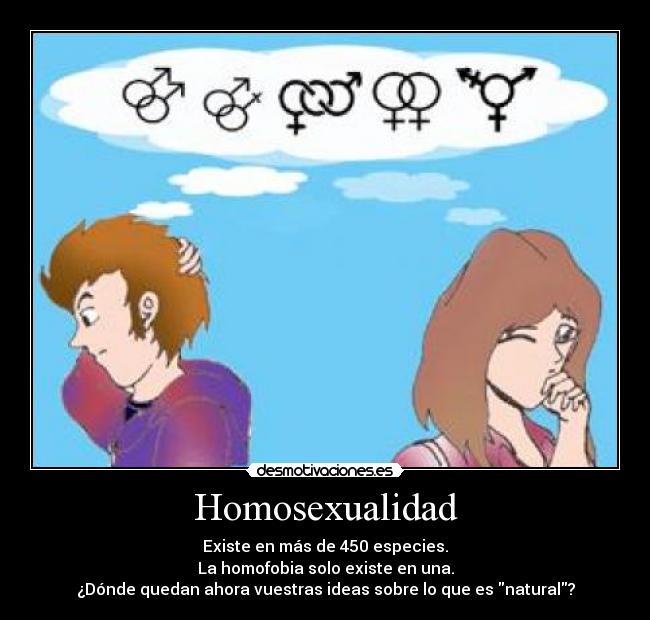 Homosexualidad - Existe en más de 450 especies.
La homofobia solo existe en una.
¿Dónde quedan ahora vuestras ideas sobre lo que es natural?