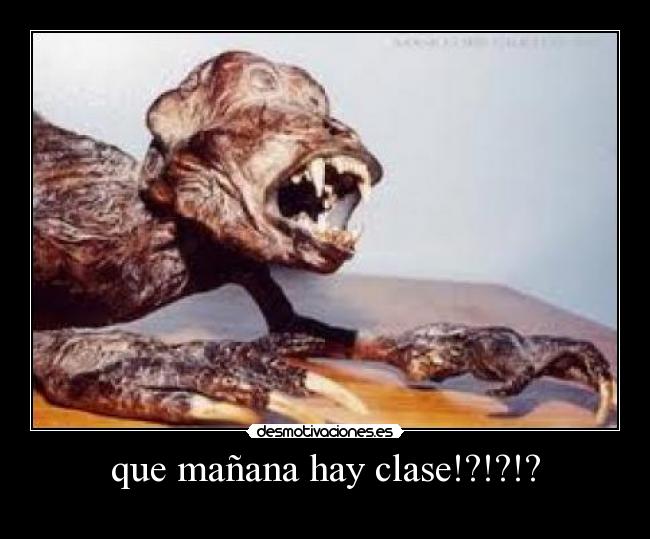que mañana hay clase!?!?!? -