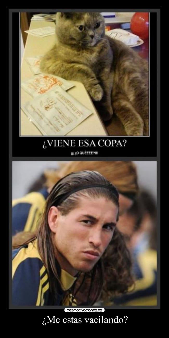 ¿Me estas vacilando? - 