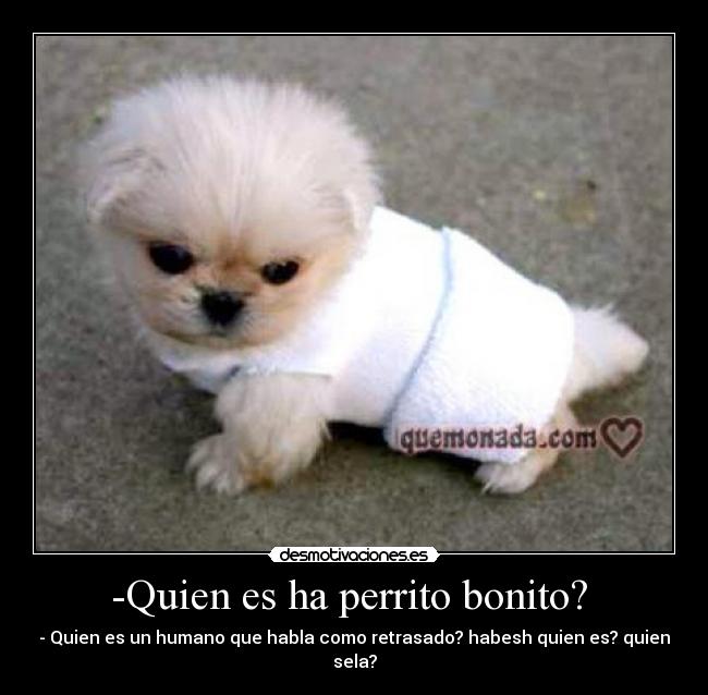 -Quien es ha perrito bonito? -