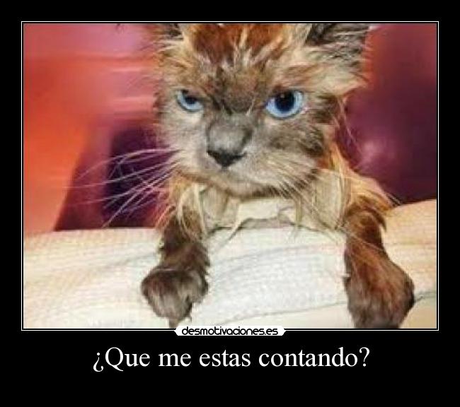 ¿Que me estas contando? - 