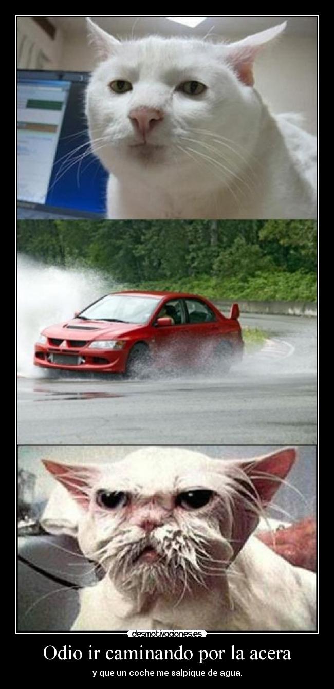 Odio ir caminando por la acera - 