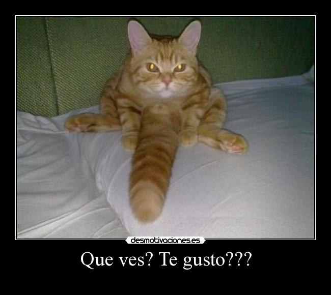 Que ves? Te gusto??? -