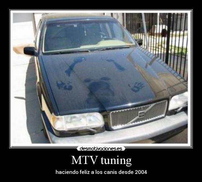 MTV tuning - haciendo feliz a los canis desde 2004