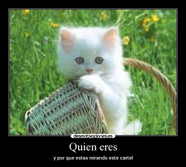 Quien eres - y por que estas mirando este cartel