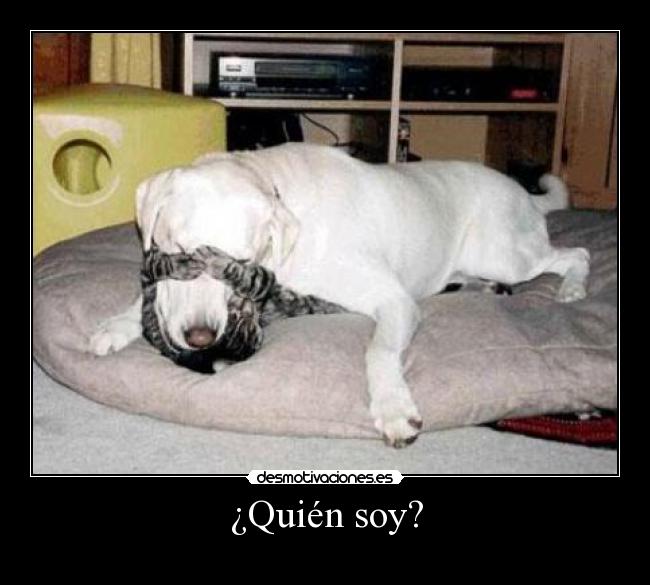 ¿Quién soy? -