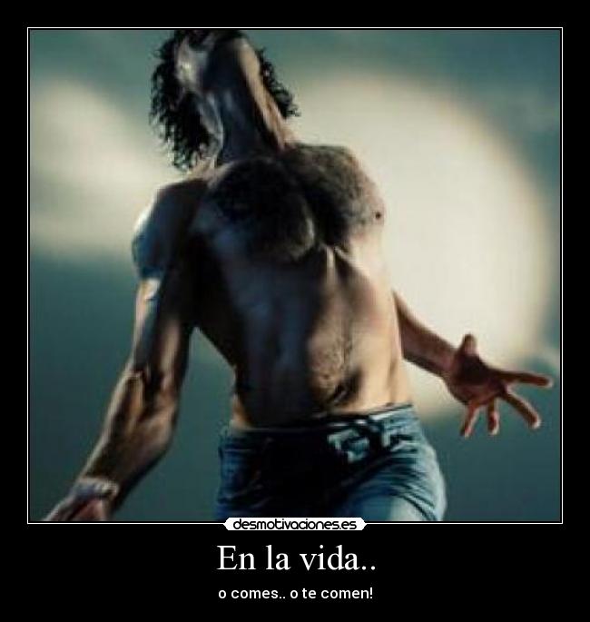 carteles vida rrabiaaa desmotivaciones