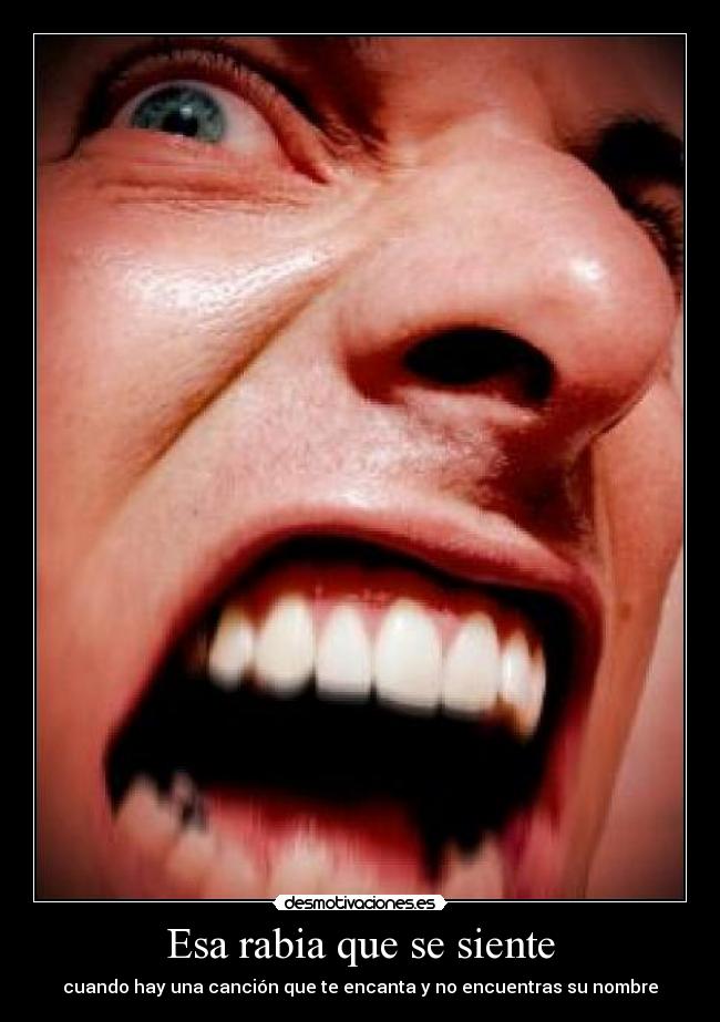 Esa rabia que se siente - cuando hay una canción que te encanta y no encuentras su nombre