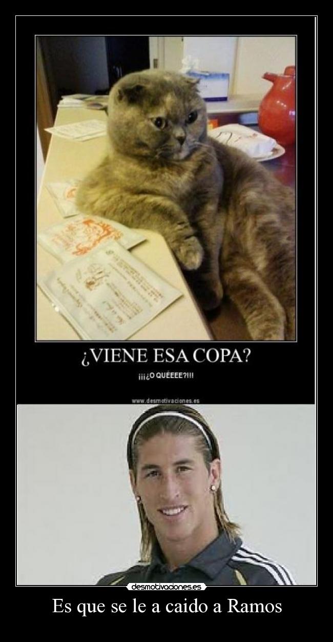 Es que se le a caido a Ramos -
