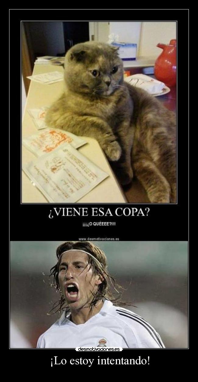 ¡Lo estoy intentando! -