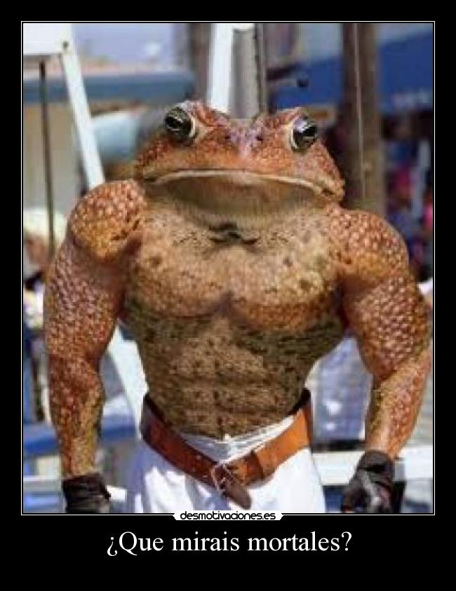 ¿Que mirais mortales? -