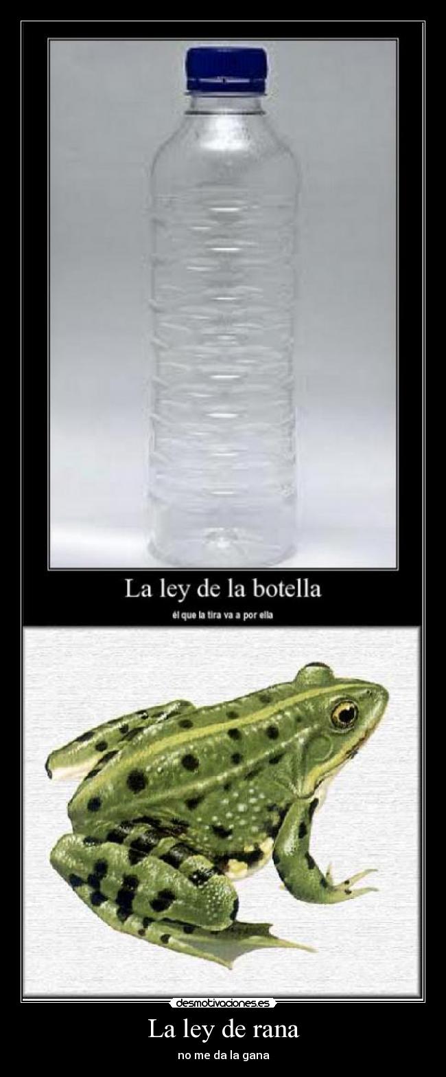 La ley de rana -