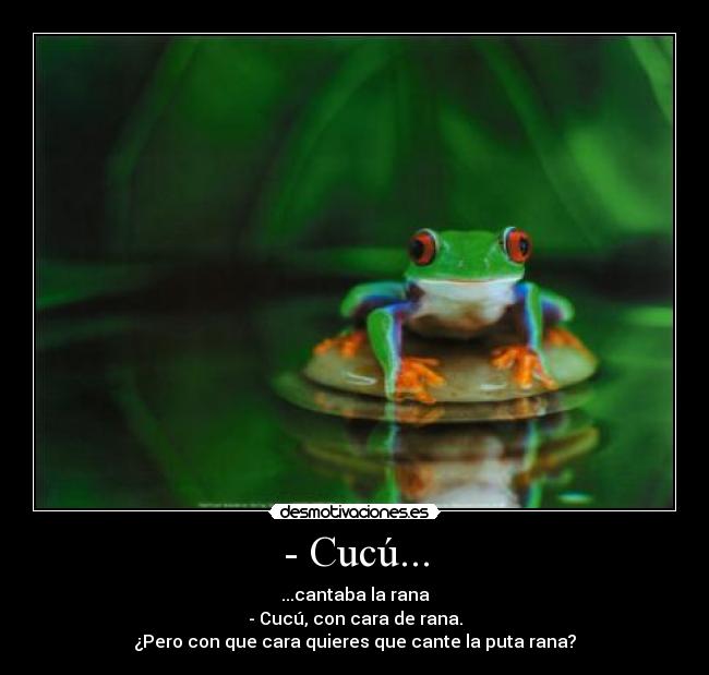 - Cucú... - ...cantaba la rana
- Cucú, con cara de rana.
¿Pero con que cara quieres que cante la puta rana?