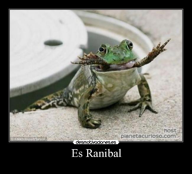 Es Ranibal - 