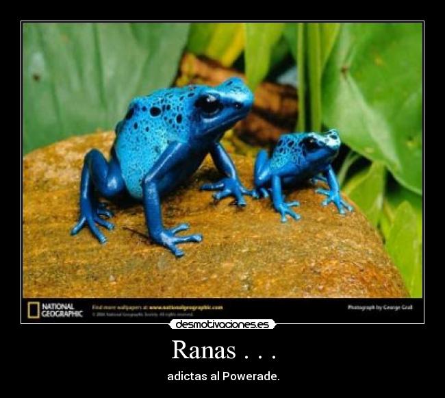 Ranas . . . -