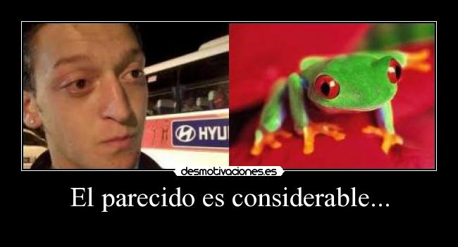 El parecido es considerable... -