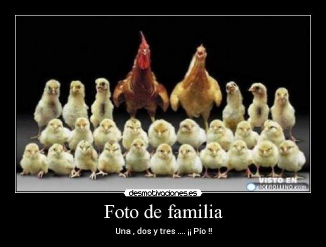 Foto de familia - 