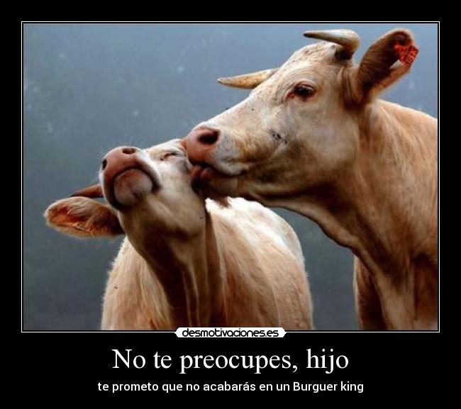 No te preocupes, hijo - te prometo que no acabarás en un Burguer king