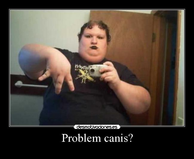 Problem canis? - 