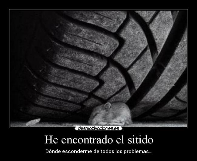 carteles ratata desmotivaciones