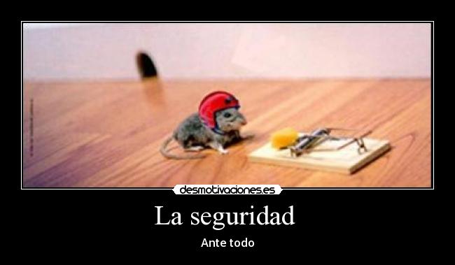 La seguridad -