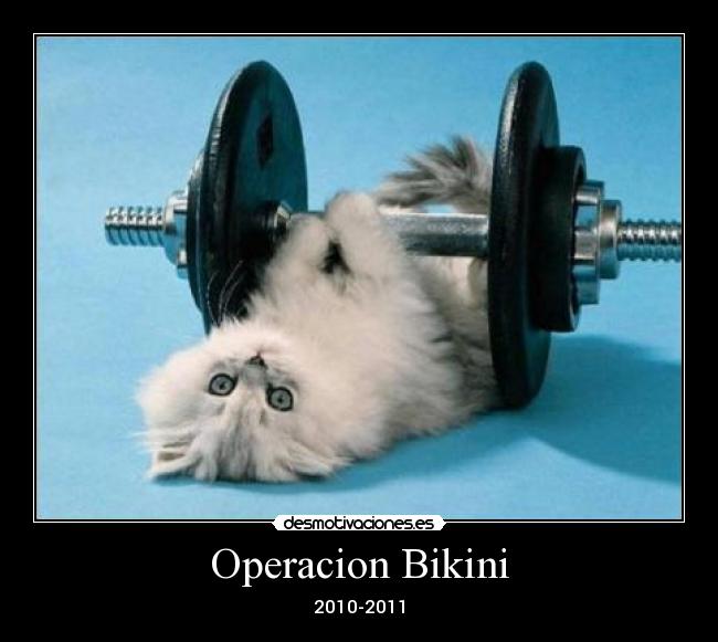 Operacion Bikini - 2010-2011